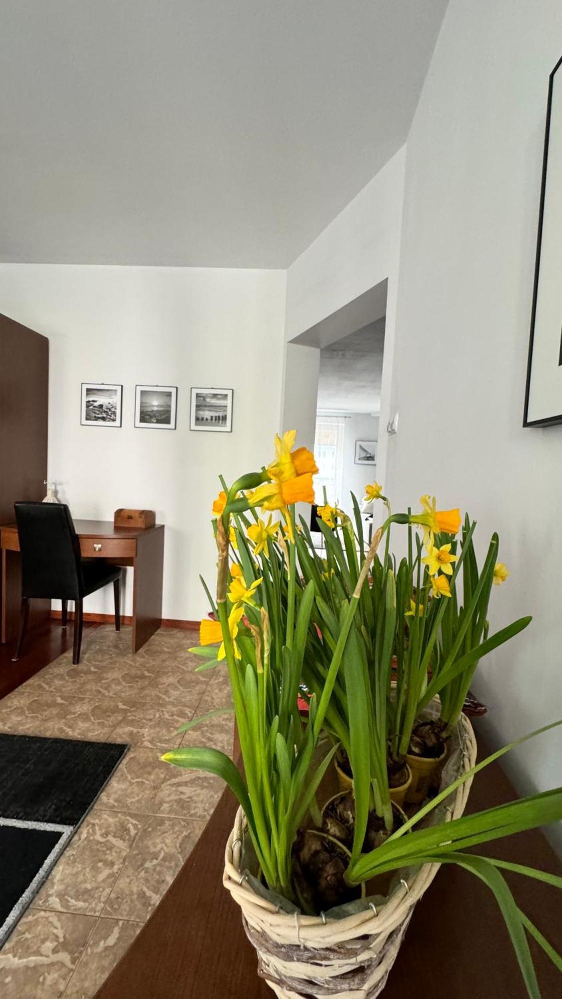 Apartament Rodzinny Kolobrzeg Luaran gambar