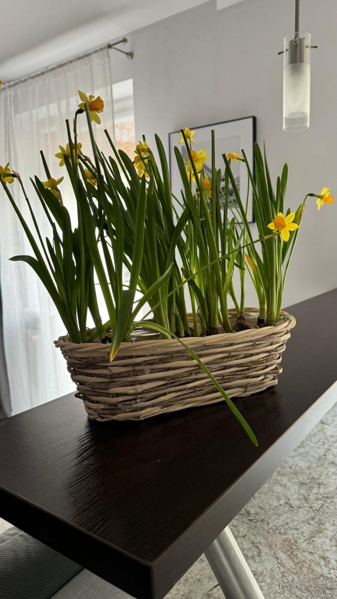 Apartament Rodzinny Kolobrzeg Luaran gambar
